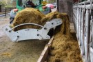 Rundballe kaster/giver, FORAGER X10W thumbnail