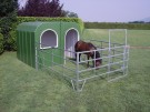 Glassfiber hus - hest thumbnail