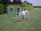 Glassfiber hus - hest thumbnail